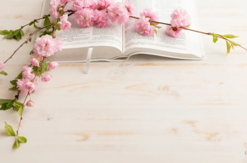 Bible with pink flowers on top