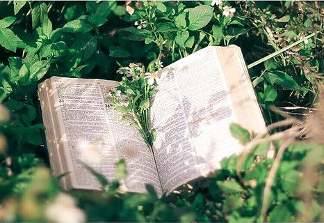 Bible surrounded by white flowers and greenery