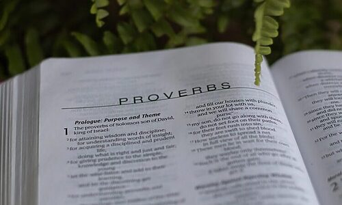 Bible opened to book of Proverbs and surrounded by greenery