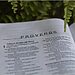 Bible opened to book of Proverbs and surrounded by greenery