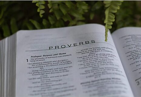 Bible opened to book of Proverbs and surrounded by greenery