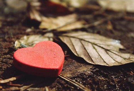 Red heart laying on the ground next to leaves illustrate having a heart to hear God