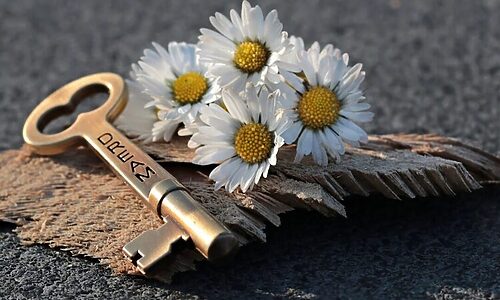 Key with word “dream” etched into it next to four daisies illustrate finding your calling