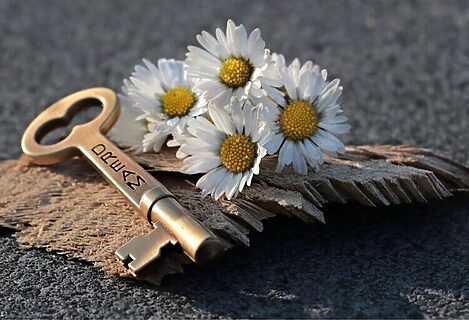 Key with word “dream” etched into it next to four daisies illustrate finding your calling