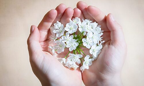 Little white flowers are held in palms of hands. Illustrates caring for an eternal legacy