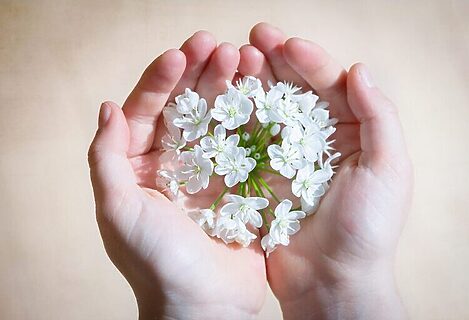 Little white flowers are held in palms of hands. Illustrates caring for an eternal legacy