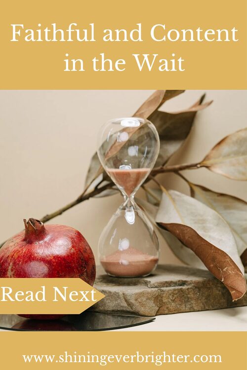 Faithful and Content in the Wait blogpost image