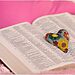 Image of Bible laying open and heart trinket sitting in the center illustrate God’s love through the Bible