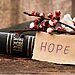 Image of Bible with flowers and a handwritten note that says “hope” illustrates Bible verses about new beginning