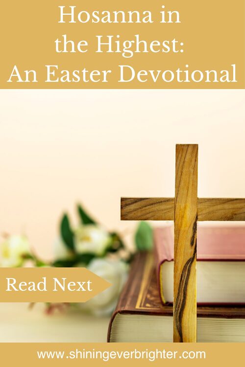 Hosanna in the Highest Read Next Article Pin