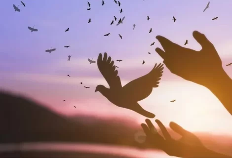 Image of woman releasing bird represents trusting God’s timing when waiting on God