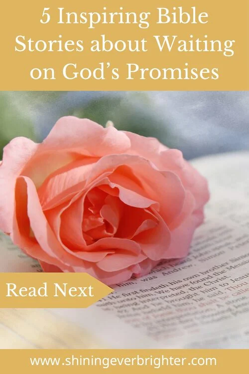 Gold Article Image for 5 Inspiring Bible Stories about Waiting on God’s Promises