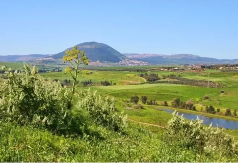 Image represents Israel, Joshua and Caleb, and God’s faithfulness in providing the promised land