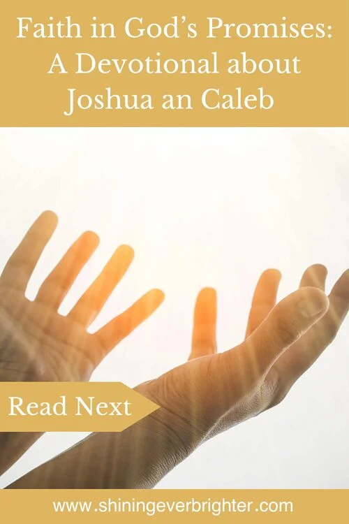 Gold Article image for Faith in God’s Promises, a devotional of Joshua and Caleb