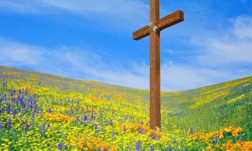 Image of cross in grassy field of flowers represent spring, Jesus, and Easter 2025