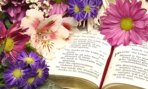 Image of Bible and spring flowers represent 12 Bible Verses about Spring renewal and renewing your faith