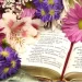 Image of Bible and spring flowers represent 12 Bible Verses about Spring renewal and renewing your faith