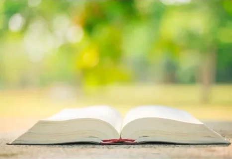 Open Bible outdoors represents renewing your faith and refreshing your soul when feeling distant from God