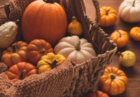 20 Bible Verses about Receiving God’s Blessing and Favor